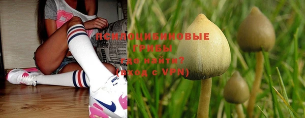 дживик Богородицк