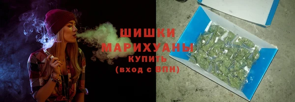 дживик Богородицк