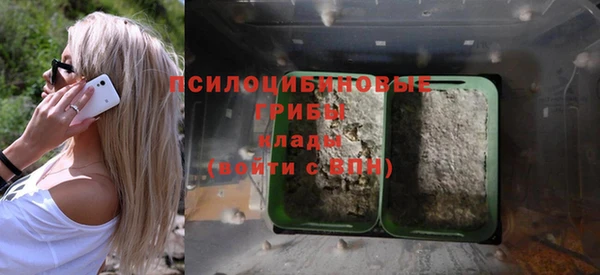 дживик Богородицк
